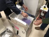 The first shipment of COVID-19 vaccine arrived Friday (Dec. 18) as Adventist Health officials transfer the vaccine to a freezer. Vaccinations will begin on frontline staff at the hospital next week. 